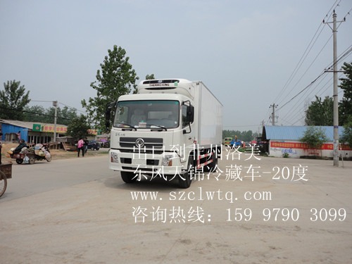 ���ڷ�������-20����س�