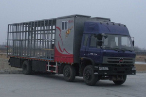 ĳС䳵