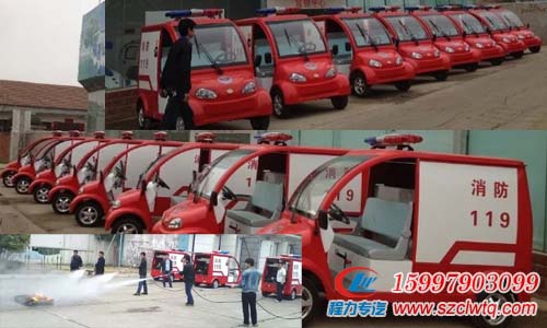 ���ֵ綯������