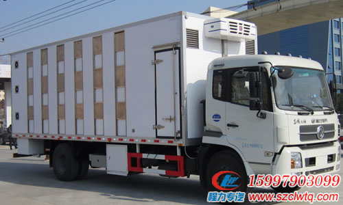 ��������������䳵