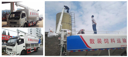 ���������12�����ϳ�