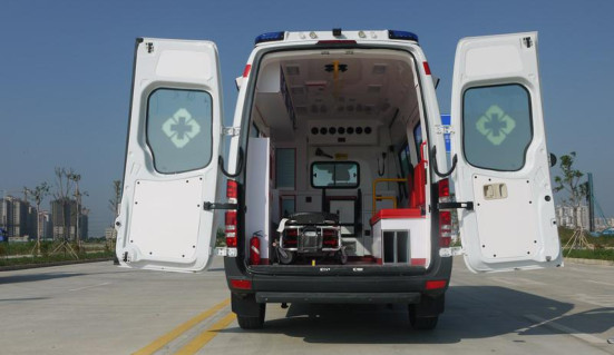 Sprinter315ͼ໤;Ȼ