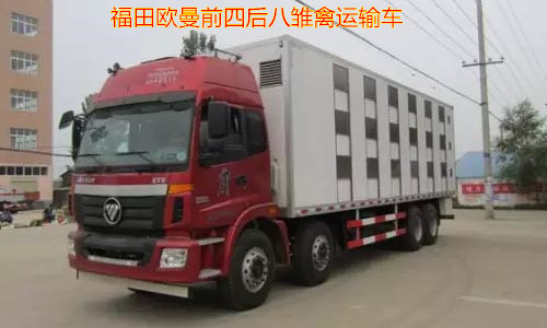 ����ŷ��ǰ�ĺ�˳������䳵