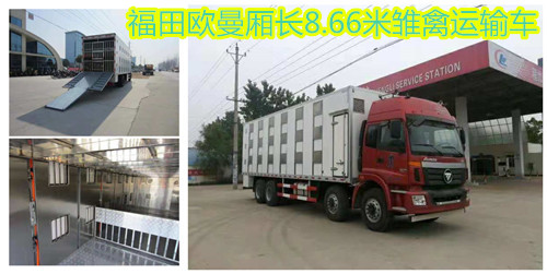 ����ŷ���᳤8.66�׳������䳵