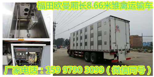 ����ŷ���᳤8.66�׳������䳵