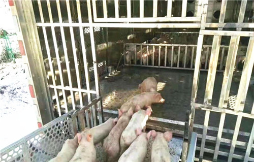 ���������D9�᳤5.98�׺����������䳵