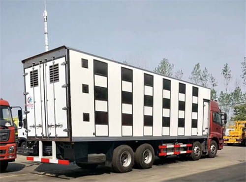 ŷ��ǰ�ĺ�˺���������