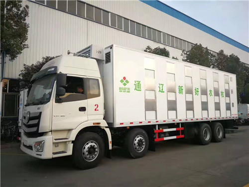 ŷ��ǰ�ĺ�˺���������