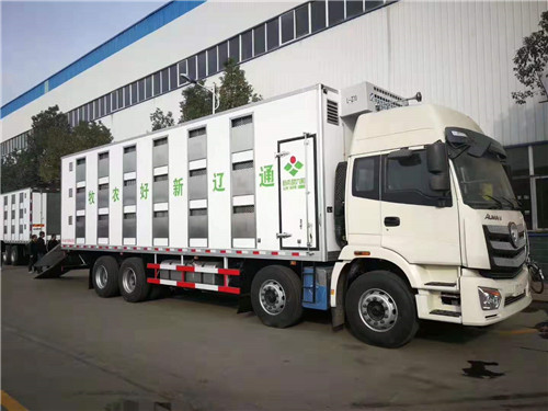 ŷ��ǰ�ĺ�˺���������