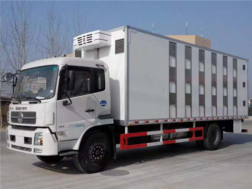 ��������᳤6.95�׳������䳵