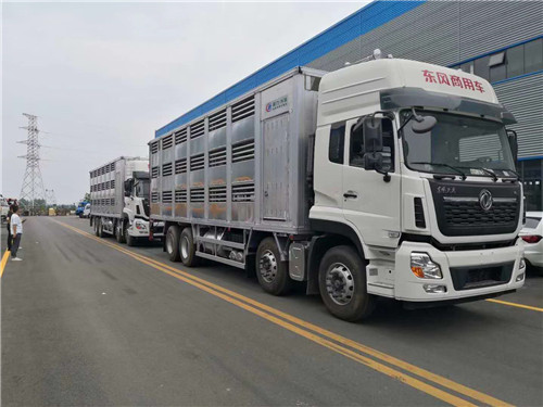 ��������ǰ�ĺ�˺����Ͻ��������䳵