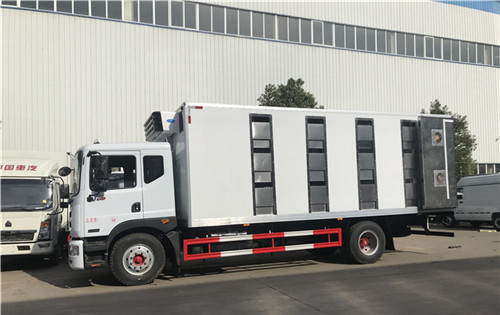 �������������D9�������䳵