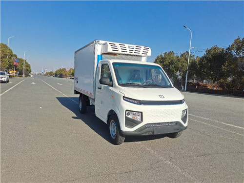 ���� F1E���綯��س���С΢����