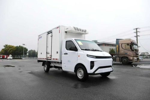 ���� F1E���綯��س���С΢����